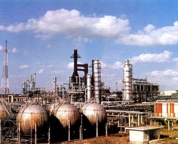 建國(guó)后最大間諜案:廣州機(jī)場(chǎng)截獲2只老鼠,體內(nèi)藏絕密情報(bào)?